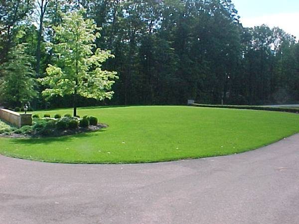 Lawn Installation