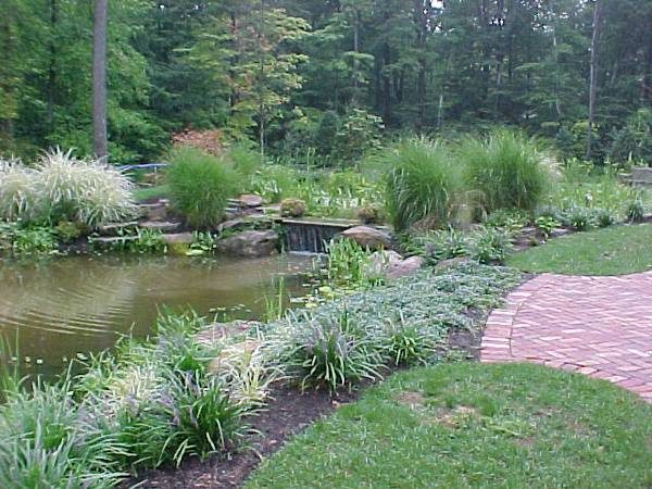 Pond