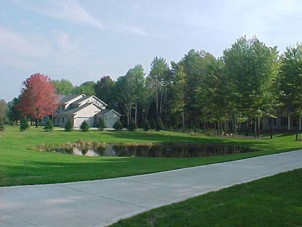 Pond