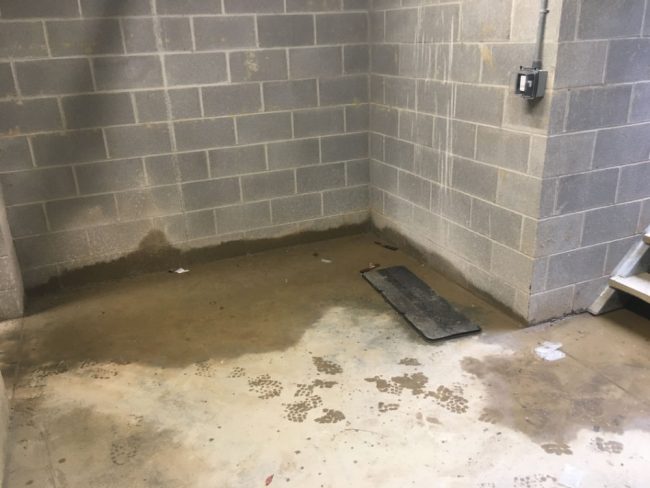 Inside Cleveland basement shows water at base of walls floor